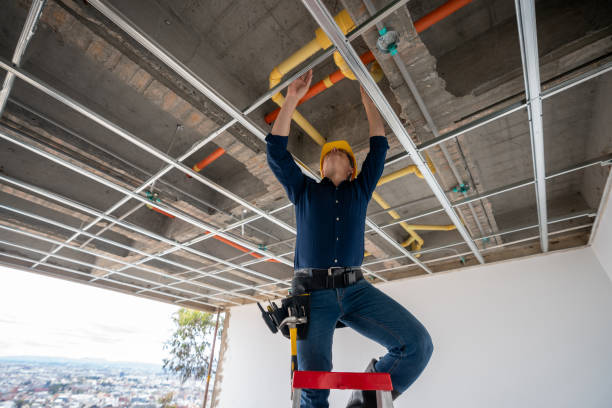  Chicago, IL Plumbing Pros