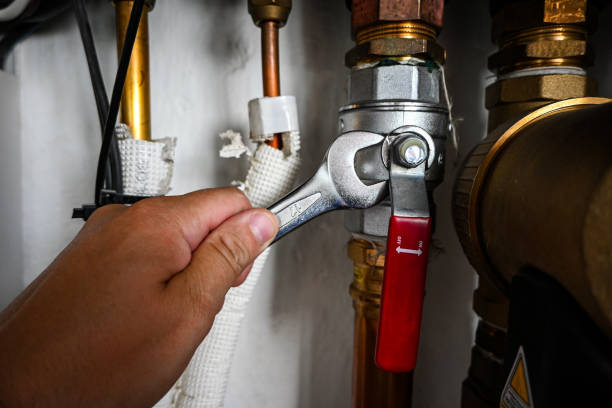Best Plumbing Inspection Services  in Chicago, IL